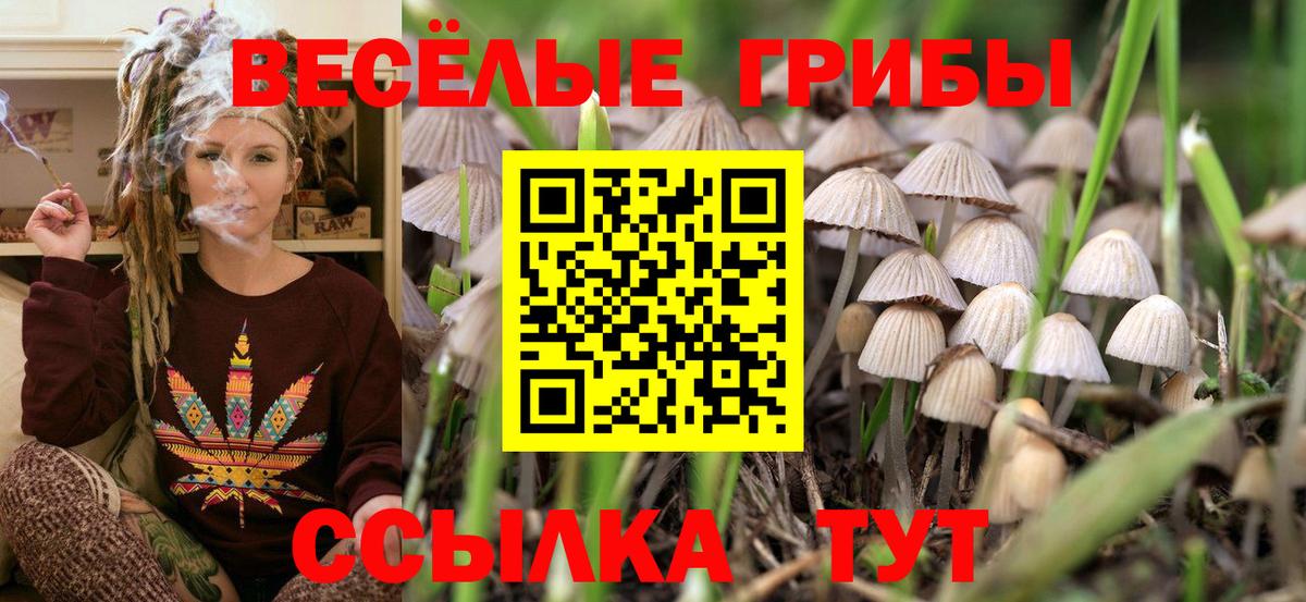 Галлюциногенные грибы Psilocybe  Вход с VPN  Десногорск  Псилоцибиновые грибы Cubensis 