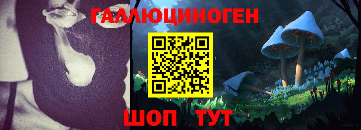 Псилоцибиновые грибы GOLDEN TEACHER Десногорск